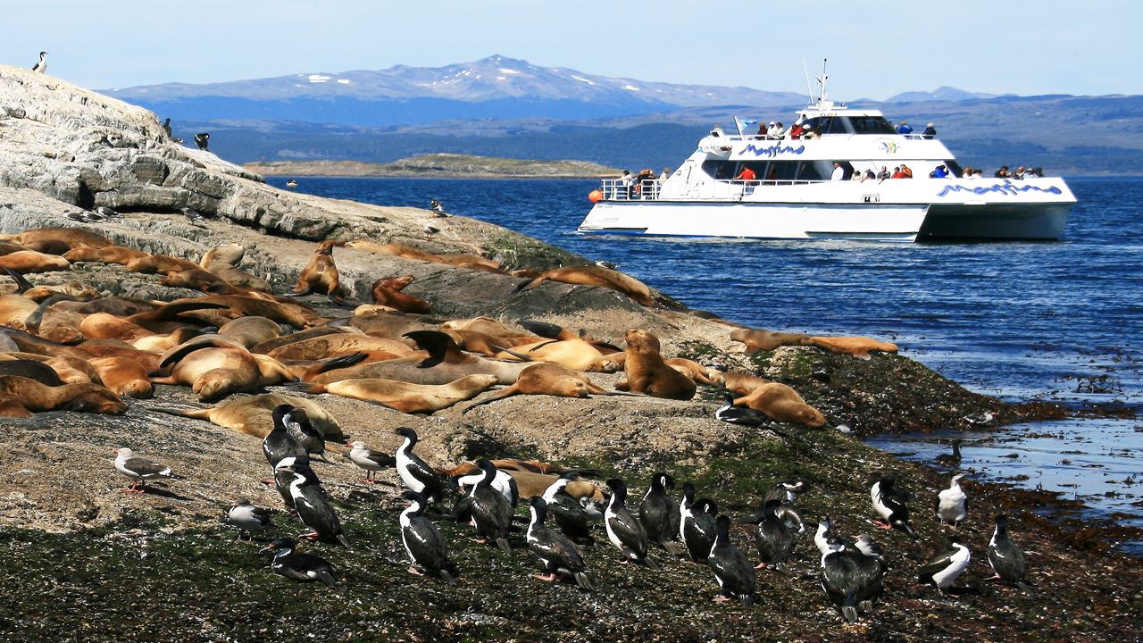 Beagle Channel Cruise Tours & Tickets